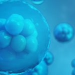 embryons-souris-espace