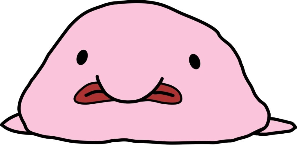 Blobfish