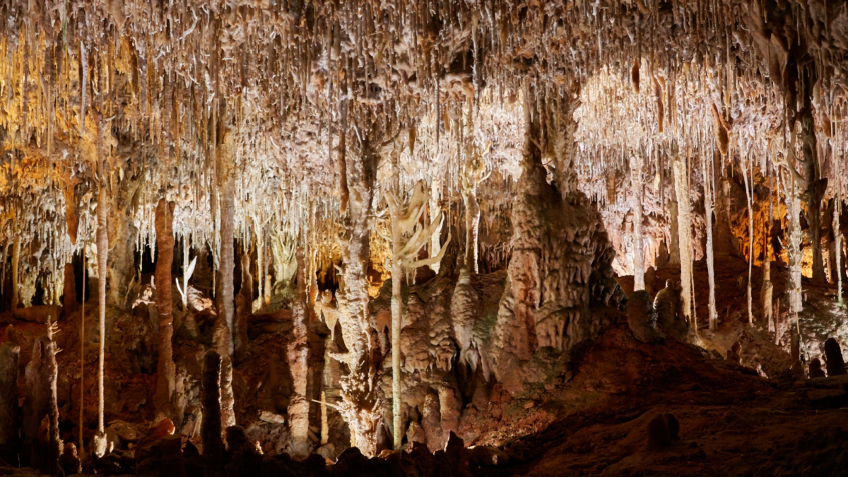 Arqueólogos descubren una ‘cápsula del tiempo’ prehistórica en una cueva española