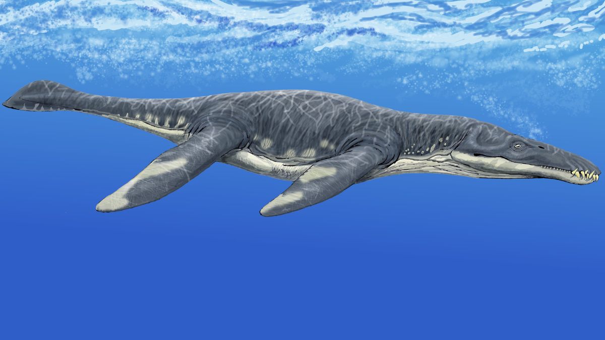 pliosaure