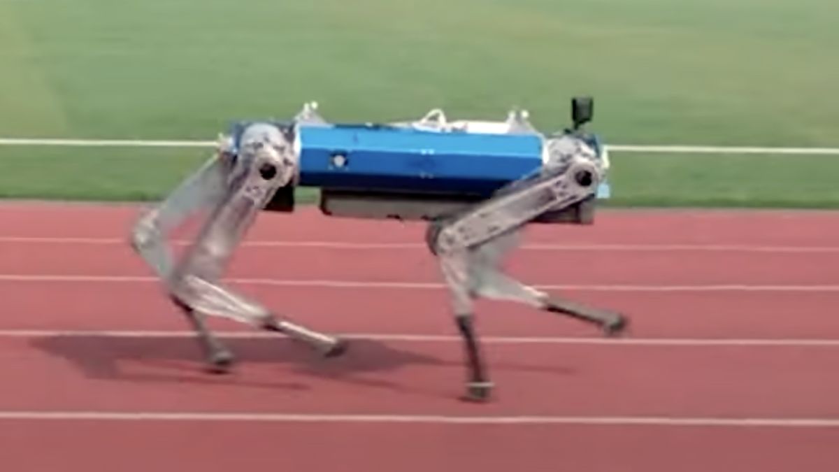 robot-chien