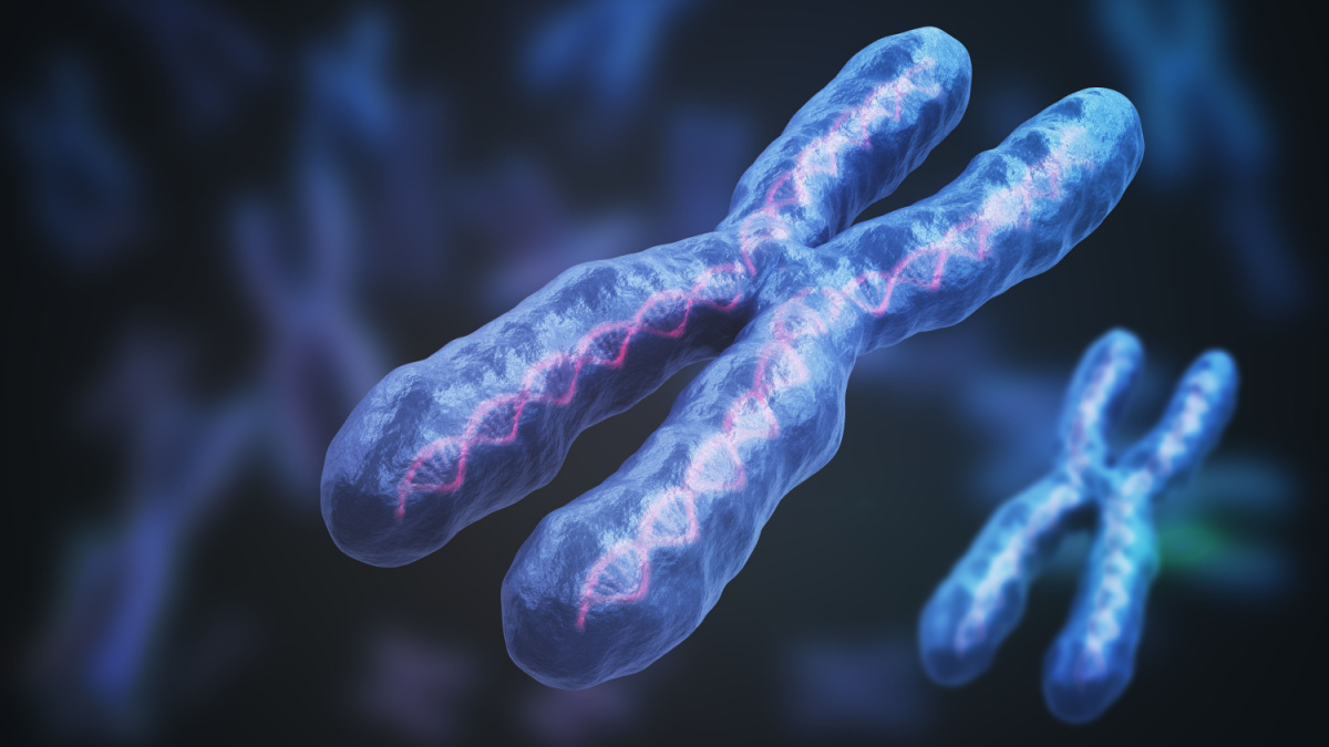 chromosome-x