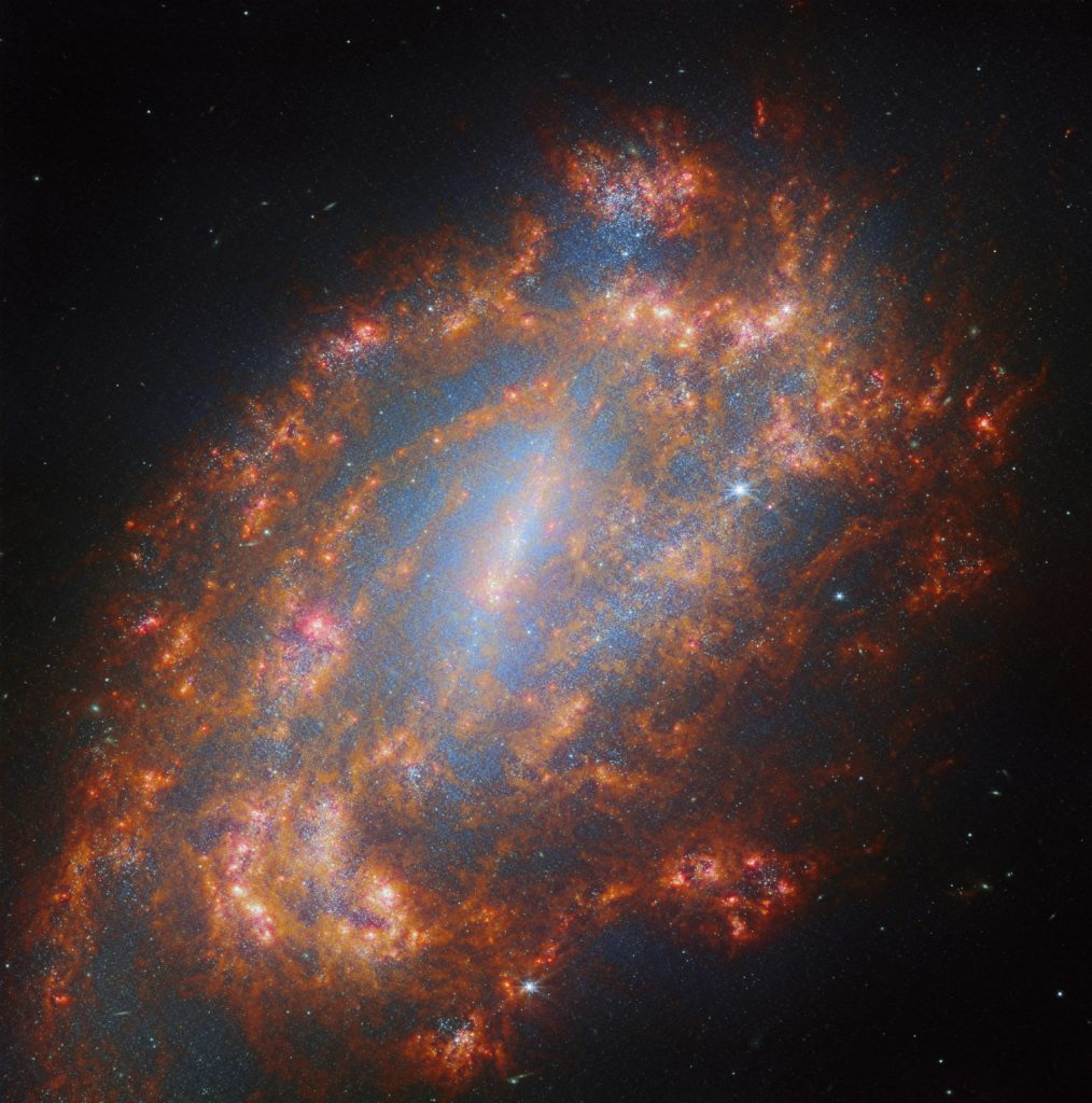 james-webb-NGC-1559