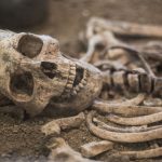 site neolithiques France