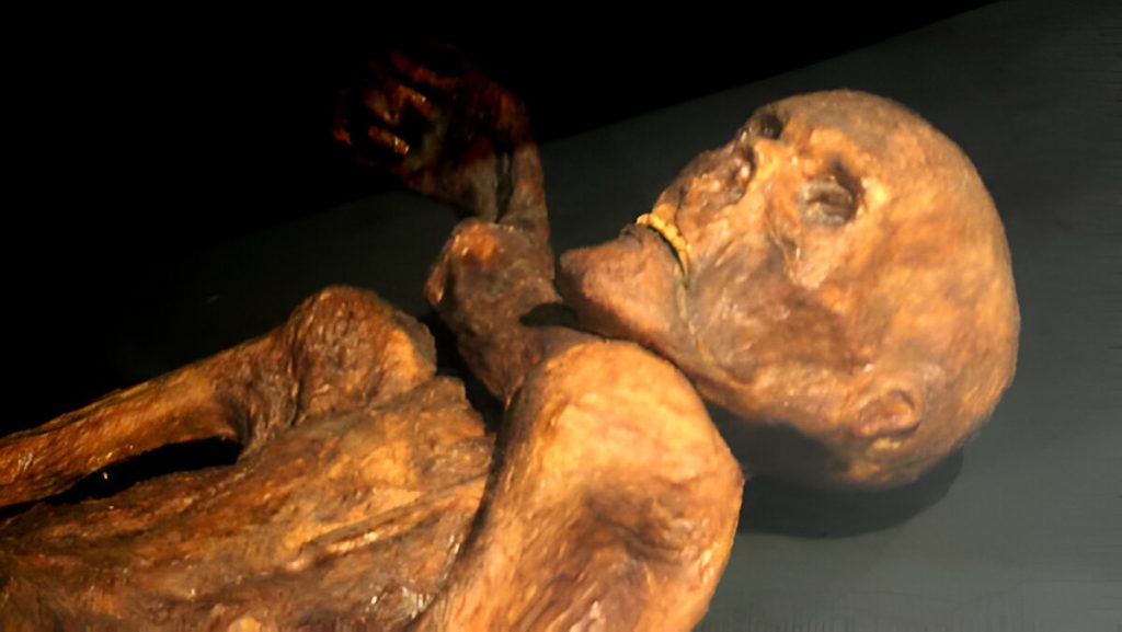 Ötzi l'homme des glaces