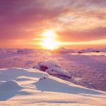 antarctique-chaleur