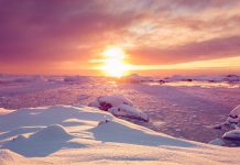 antarctique-chaleur