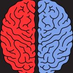 cerveau-gauche