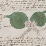 manuscrit voynich
