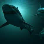 requin-prehistorique