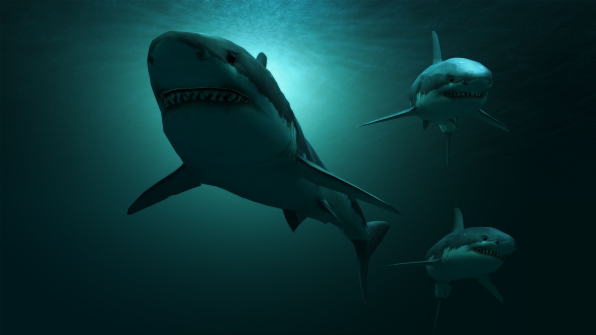 requin-prehistorique