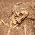squelette-chine