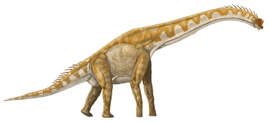 Giraffatitan