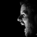 Agressivité complément