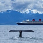 Baleine Bateau Croisiere