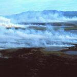 feux zombies arctique