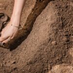 Artefacts Prehistoire