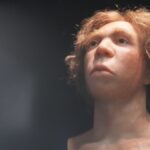 Neandertalien Altruisme