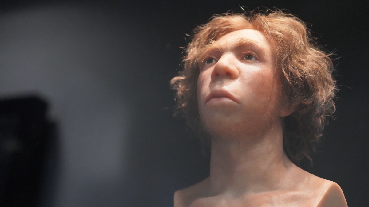 Neandertalien Altruisme