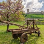 Projectiles Catapulte