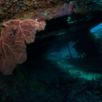 Tresor Dynastie Ming