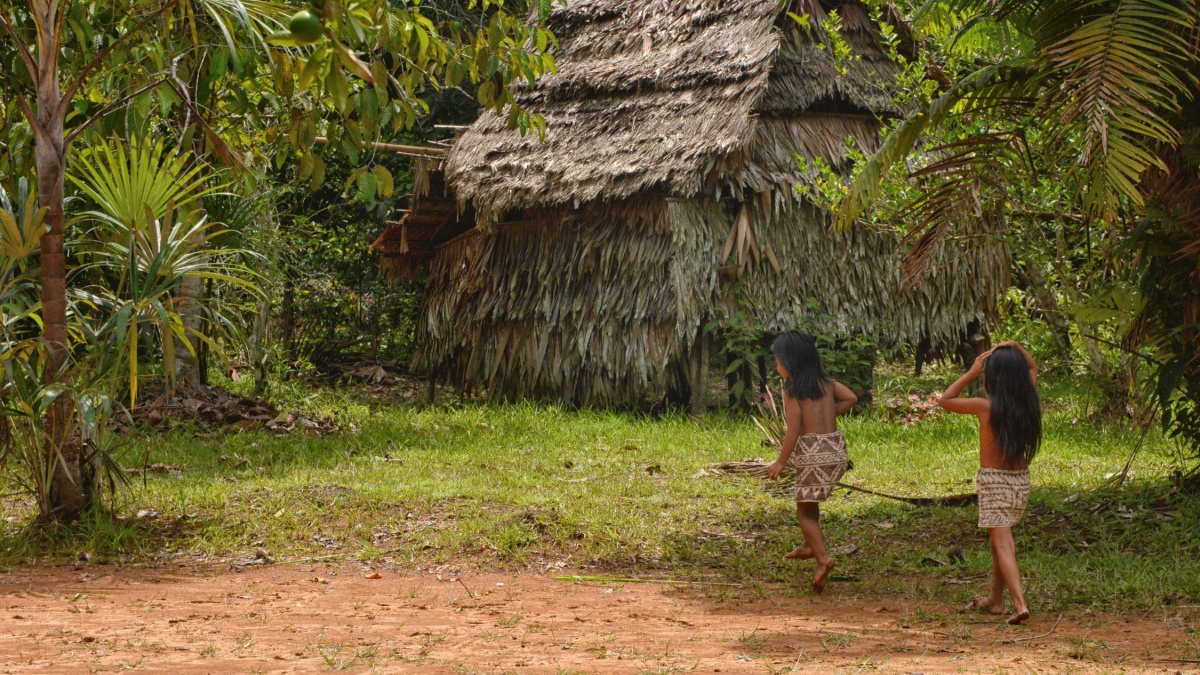 Tribu Amazonienne