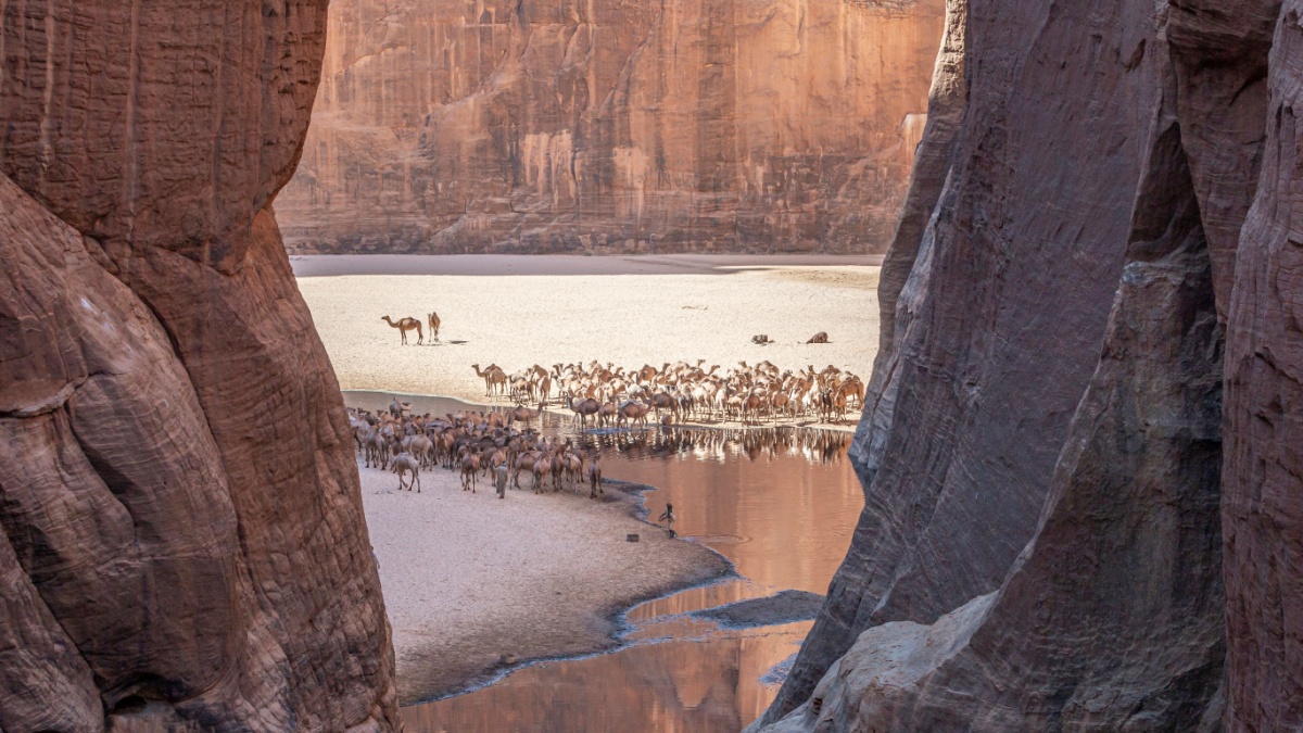 Guelta d'Archei