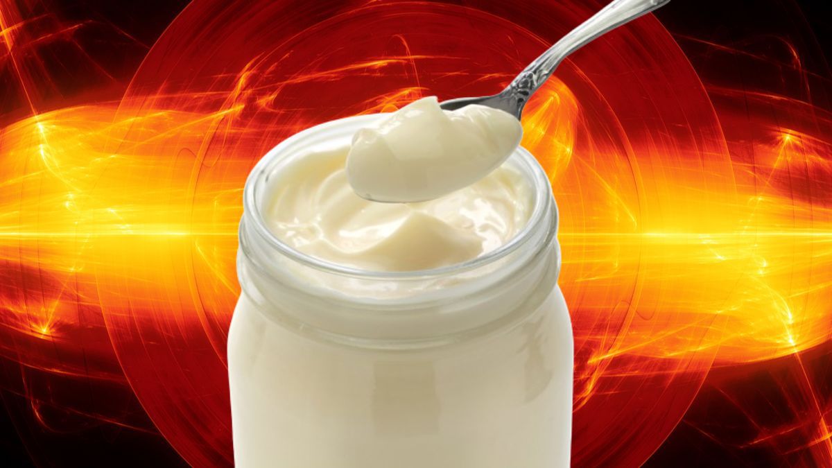 Mayonnaise Fusion