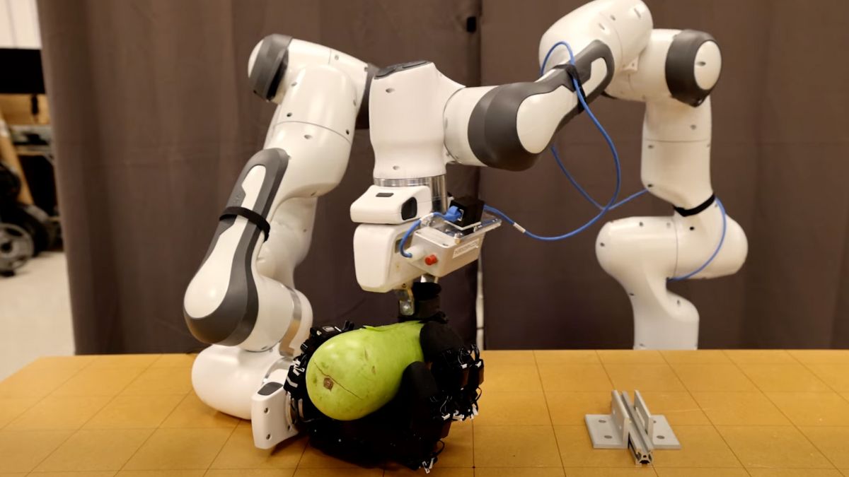 Robot légumes