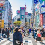 Environnement Population