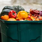 Gaspillage Alimentaire