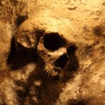 Humains Neandertaliens