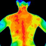 Moustique Infrarouge