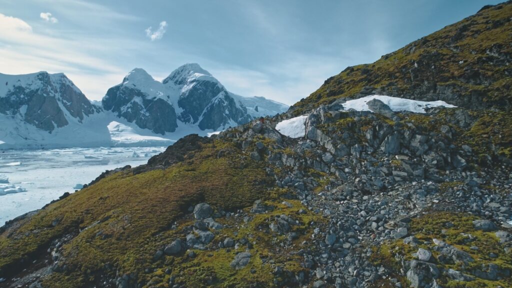 Antarctique Verdissement