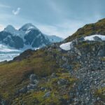 Antarctique Verdissement