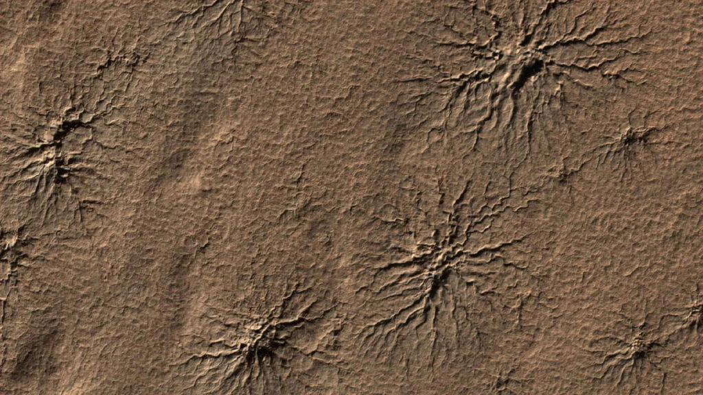 araignées Mars