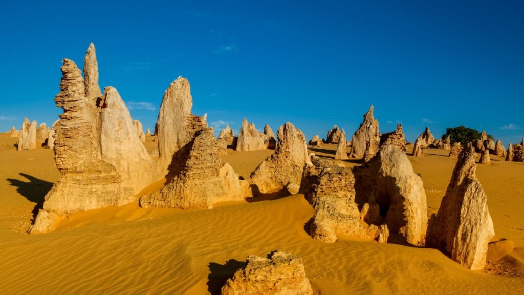 Desert Australie