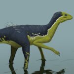 Gondwanax Paraisensis