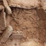 Squelettes Cimetiere