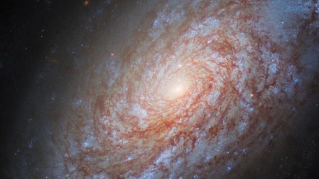 galaxie spirale cotonneuse NGC 4414