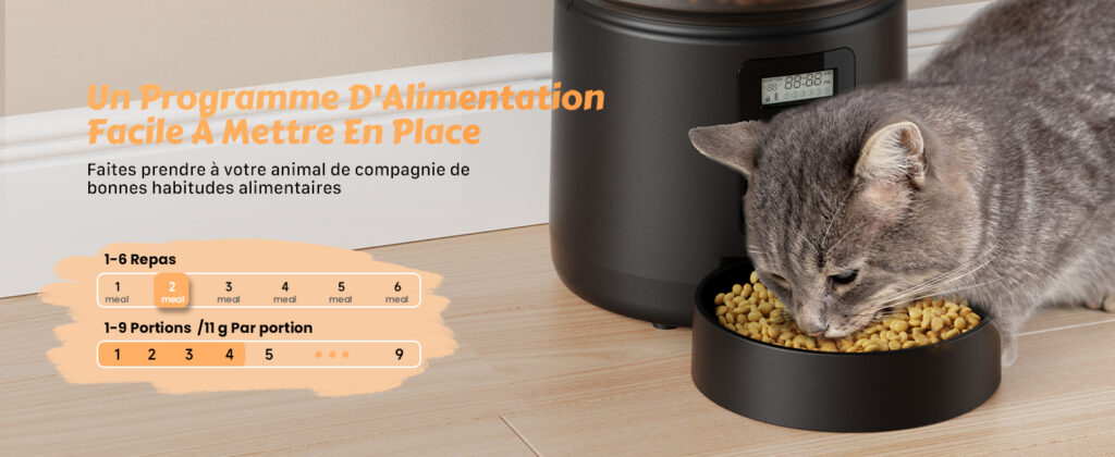 Croquettes Chats