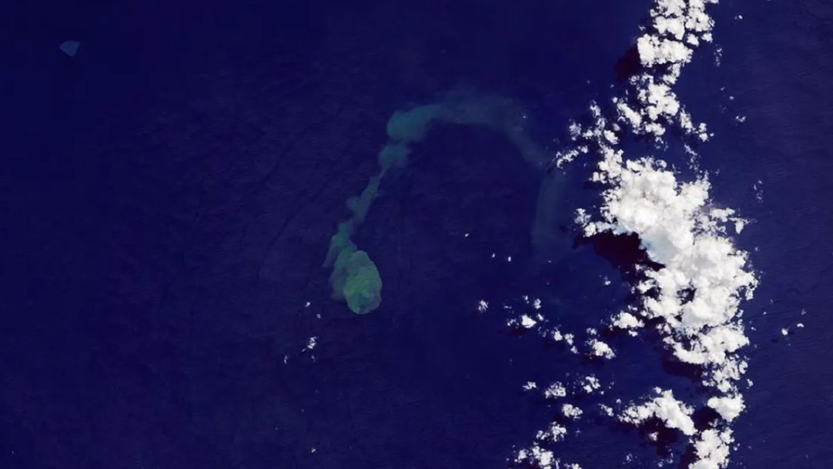 Ce volcan sous-marin qui abrite des requins crache un panache géant au-dessus de l’océan Pacifique