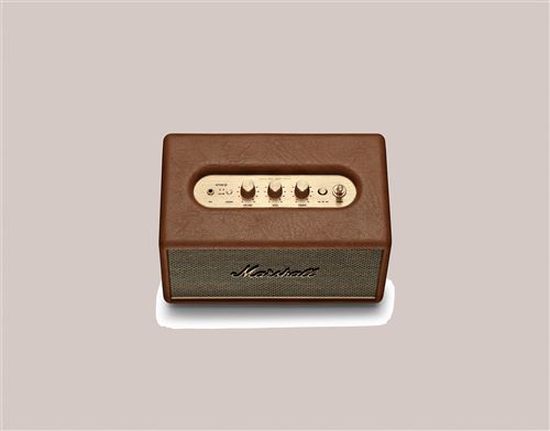 Enceinte Marshall
