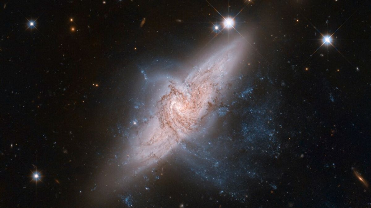 Les galaxies naines de l’amas Hydra intriguent les astronomes