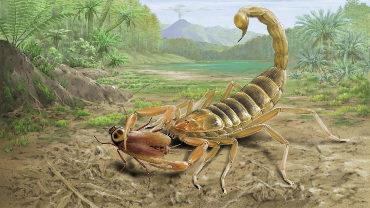 Découverte d’un scorpion géant vieux de 125 millions d’années en Chine