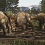 Cimetière Dinosaures