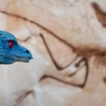 Archéoptéryx bleu et noir, avec en arrière-plan un fossile gravé dans la pierre.