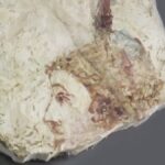 Fragment d'une fresque