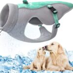 Harnais rafraichissant pour chien.