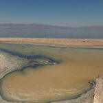Salton Sea
